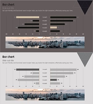 회사 양방향 가로 막대 그래프 – 경쟁 우위 분석