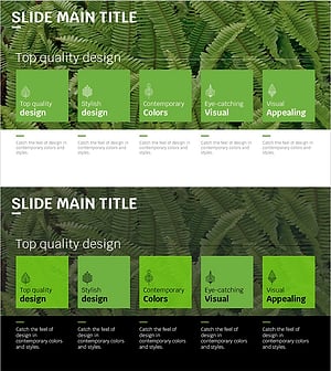 트렌드 컬러 와이드 템플릿 – 스타일리시한 텍스트 박스
