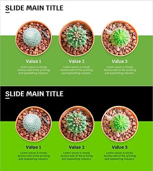 트렌드 컬러 와이드 템플릿 이미지&텍스트1 – 상품/서비스 소개