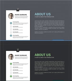 Business Introduction Slides - Company Overview and Vision