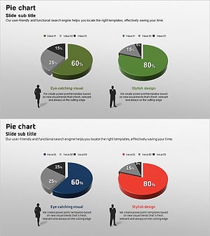 성비 고객 분석 3D 원 그래프 – 시장 이해를 위한 인사이트