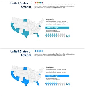 미국 내 전략 타겟 지역 분포 – 시장 분석