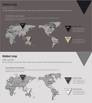 Triangle Display Global Map – Company Overview and Global Network