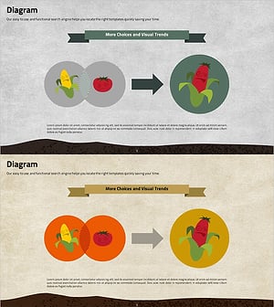 유전자 변형 과정 다이어그램 – 제품 개발과 혁신
