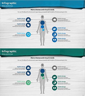 신체 구조 설명 다이어그램 - 인포그래픽 디자인