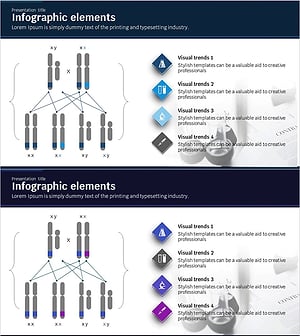 염색체 분석 다이어그램 – 클러스터 구조의 시각적 표현