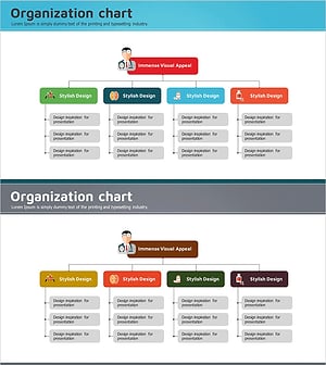 의료 사업 조직도 다이어그램 - 비즈니스 구조 명확화