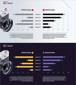카메라 쌍가로 막대그래프 – 시장 분석 및 경쟁 우위