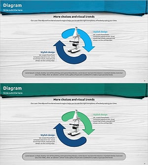 Microscopic Analysis Circulation Diagram – Differentiated Product Strategy