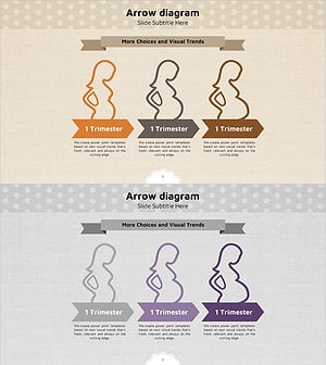 임신 3분기 임산부 다이어그램 – 사업 추진 방향 제시