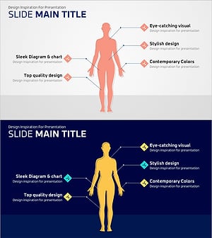 인체 분석 슬라이드 – 시각적 매력을 담은 디자인