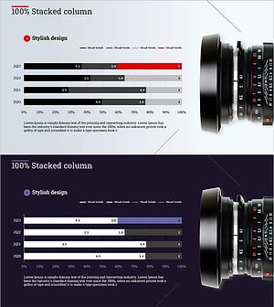 카메라와 가로형 세분화 차트 – 시장 동향과 비즈니스 전략