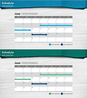 수술포 테마 계획 스케줄표 – 사업 관리 및 운영 계획