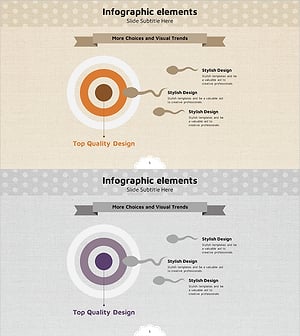 임신 수정 과정 다이어그램 - 생명 탄생의 여정