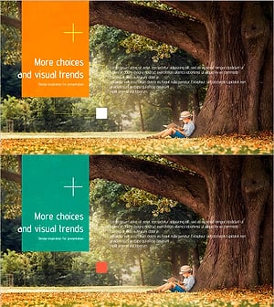 자연 속에서 배우는 즐거움 – 자유로운 경험