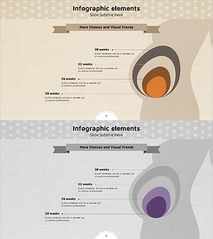 Pregnancy Cycle Diagram Slide Visualization