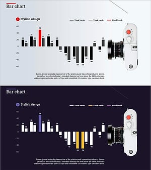 카메라와 세로 묶음형 차트 슬라이드