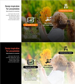 Business Vision and Strategy through Nature – Sustainable Solutions