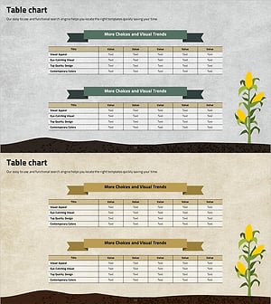 옥수수 성분 분석 테이블 – 시장 분석 및 재무 성과