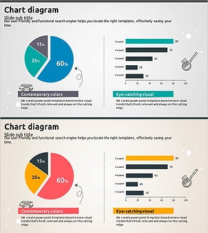 블루 레드 파이차트와 가로막대 차트 – 시장 점유율 분석