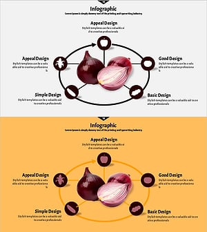 양파 순환 확산 다이어그램 – 기술부문과 서비스 구성도