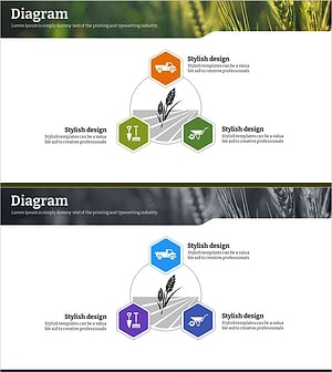 친환경 농업 사업전략 다이어그램 – 지속가능한 농업의 미래