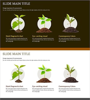 식물 새싹 관리 방법 – 혁신을 담은 프레젠테이션