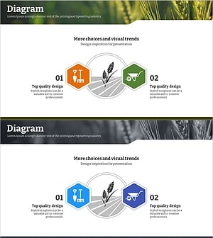 Vision and Mission of Eco Farming Business – Message of Sustainability