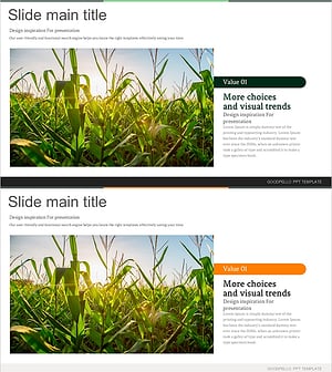 The Value of the Forest – Environmental Protection and Social Responsibility