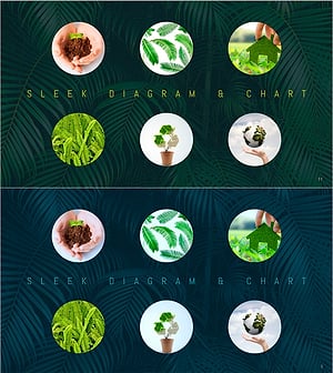 친환경 이미지 슬라이드 – 지속 가능성과 협력