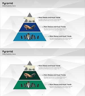 Arctic Business Company Internal Organization Chart – Structure and Efficiency