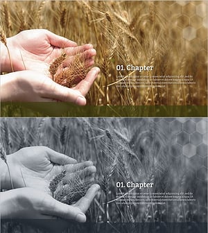 Eco Farming Template – Nature's Story Presented in Sections