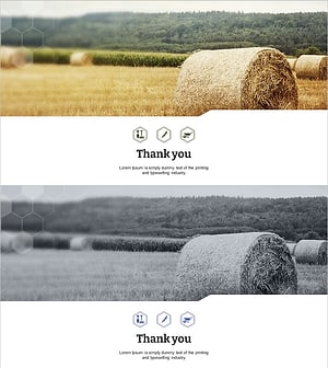 친환경 농업 템플릿 – 구성한 마지막 페이지