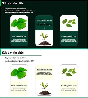어린 잎의 특징을 시각화한 클러스터 다이어그램 슬라이드