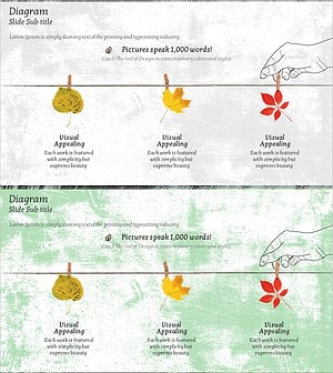 Maple Leaf Certification and Patent – Diagram Slide Presenting Business Direction