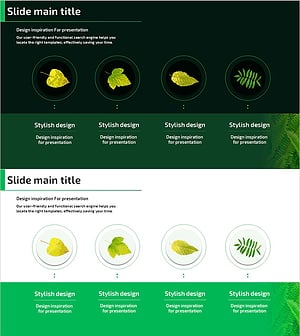The Characteristics of a Plant as Seen by Its Leaves