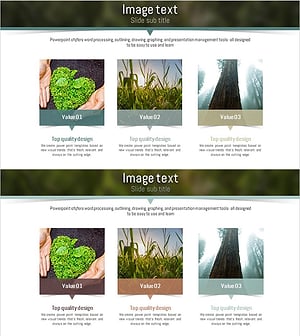 자연환경 향후발전방향 블루 브라운