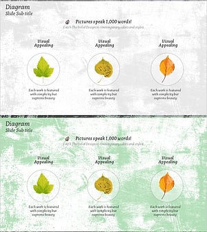 단풍잎 사업성과 다이어그램