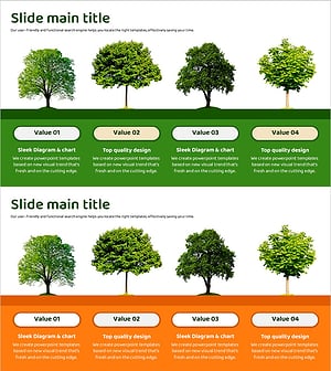 나무별 특징 설명 슬라이드 – 생명력과 다양성