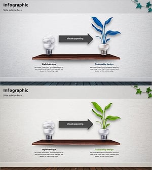 Future Direction of Eco-Friendly Business Project – Vision and Strategy