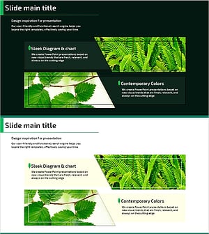 숲의 특징 – 자연의 아름다움을 담은 슬라이드