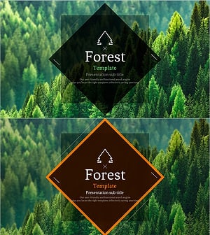 숲 와이드 템플릿 표지 – 자연을 담은 디자인