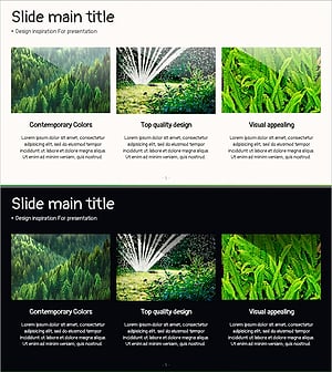Visual Presentation Template for Introduction to the Arboretum