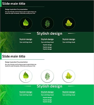 주요 식물 종류 소개 – 스타일리시 디자인