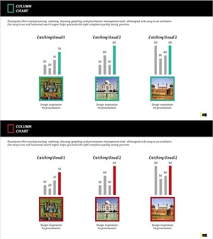 Preferred Age Group by Travel Destination in India Green Red