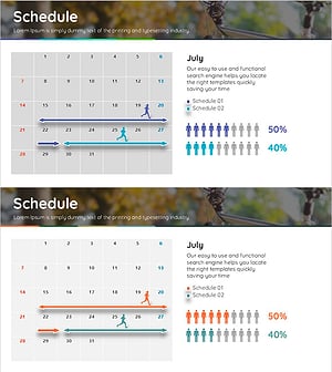 운동 스케줄 및 참여율 – 효율적 운영 계획