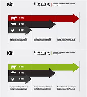 육류 유형별 흐름도 – 사업 추진 전략 강조