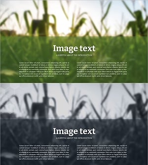 농업 배경 이미지 텍스트 페이지 – 사업소개를 위한 맞춤형 디자인