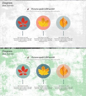 단풍잎 다이어그램 – 제품 특성을 시각화하는 슬라이드