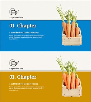 농사 수확 사업 템플릿 – 친환경 프로젝트 소개